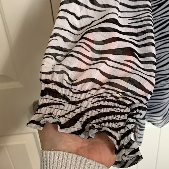 Animal Print. Zebra.  Sequins. Tunic. Fall - Picture 4 of 16